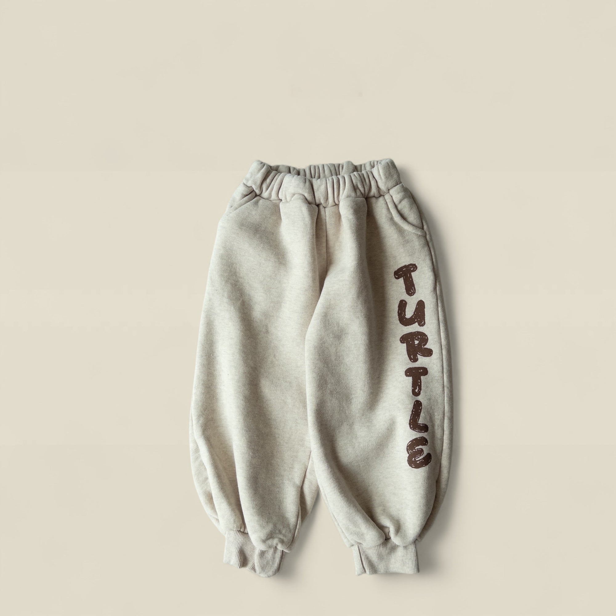 Turbo Turtle sweatpants