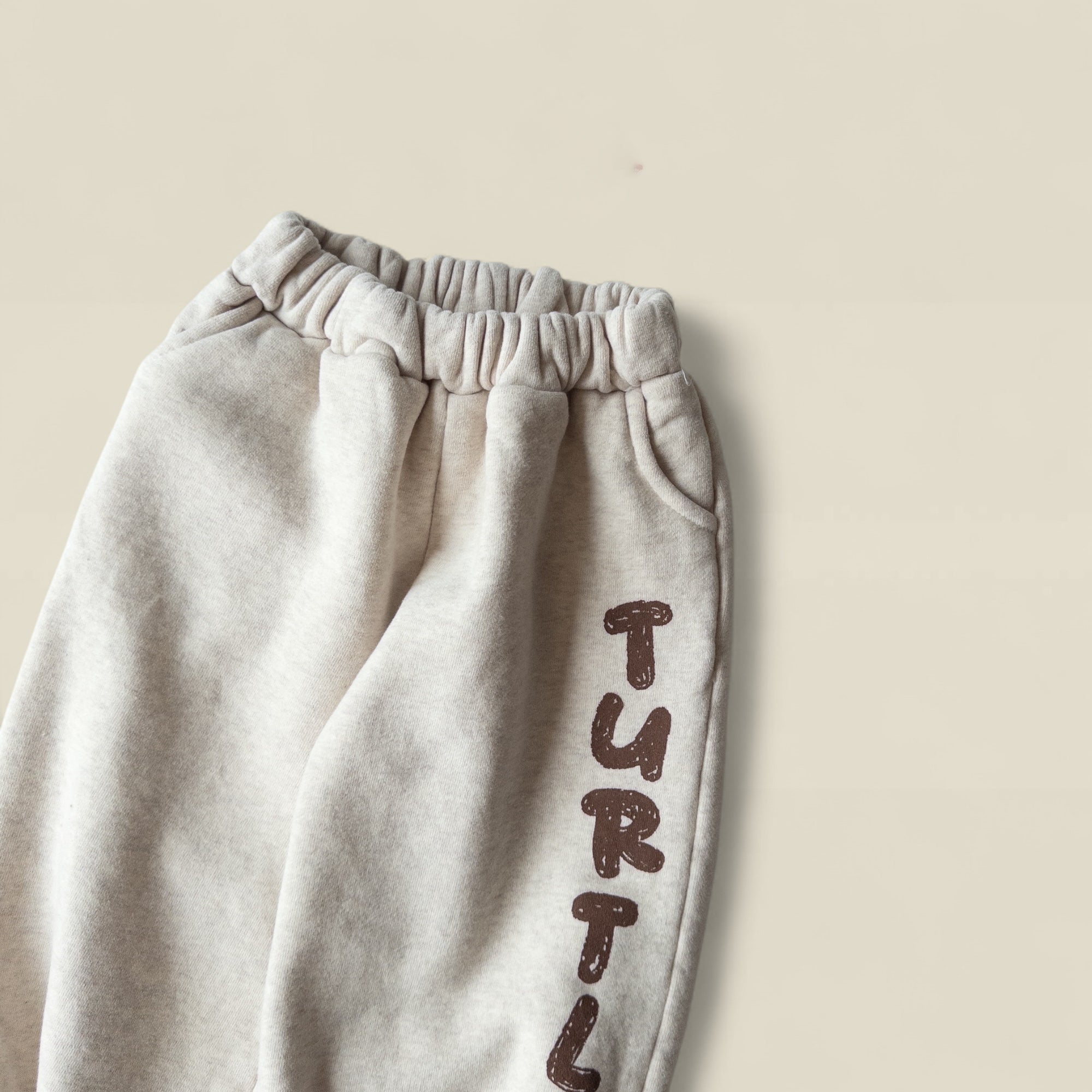 Turbo Turtle sweatpants